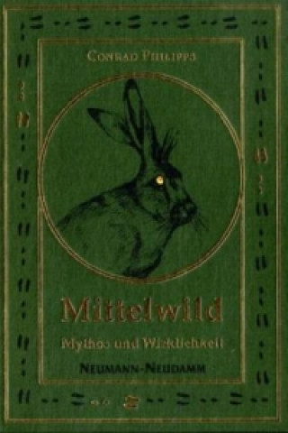 Mittelwild