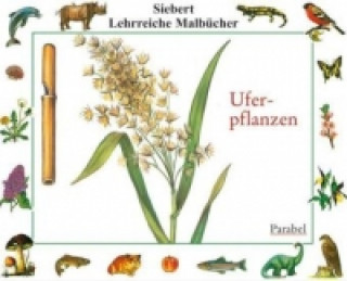 Uferpflanzen, Malbuch