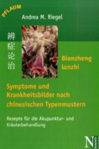 Bianzheng lunzhi, Symptome und Krankheitsbilder nach chinesischen Typenmustern