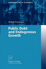 Public Debt and Endogenous Growth