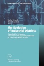 Evolution of Industrial Districts