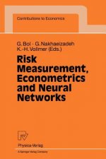 Risk Measurement, Econometrics and Neural Networks