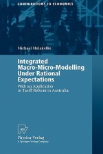 Integrated Macro-Micro-Modelling Under Rational Expectations