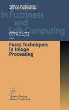 Fuzzy Techniques in Image Processing