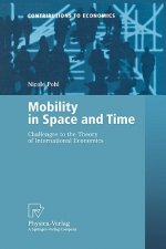 Mobility in Space and Time