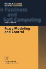 Fuzzy Modeling and Control