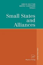 Small States and Alliances