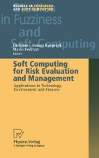 Soft Computing for Risk Evaluation and Management
