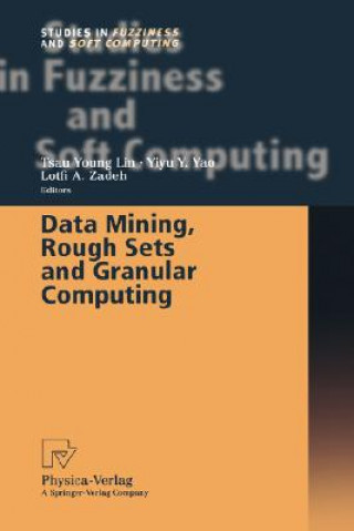 Data Mining, Rough Sets and Granular Computing
