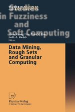 Data Mining, Rough Sets and Granular Computing
