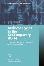 Business Cycles in the Contemporary World