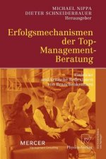 Erfolgsmechanismen Der Top-Management-Beratung