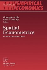 Spatial Econometrics