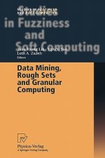 Data Mining, Rough Sets and Granular Computing