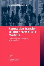 Reputation Transfer to Enter New B-to-B Markets
