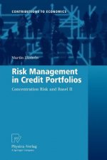 Risk Management in Credit Portfolios