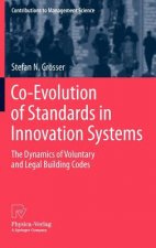 Co-Evolution of Standards in Innovation Systems