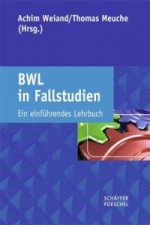 BWL in Fallstudien