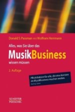 Alles, was Sie über das Musikbusiness wissen müssen