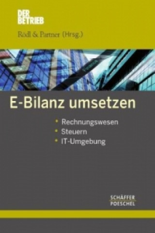 E-Bilanz umsetzen