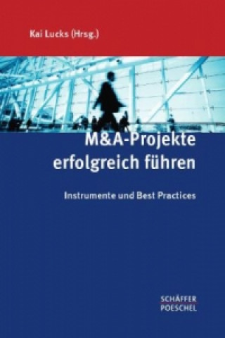 M&A-Projekte erfolgreich führen