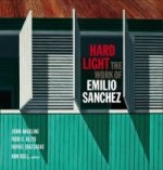 Hard Light: The Work of Emilio Sanchez