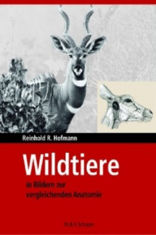 Wildtiere in Bildern zur Vergleichenden Anatome