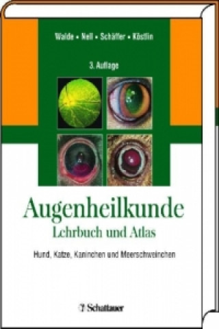 Atlas der Augenheilkunde