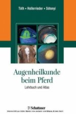 Augenheilkunde beim Pferd