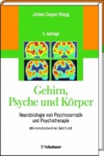 Gehirn, Psyche und Körper