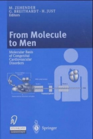 From Molecule to Men