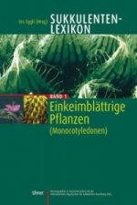 Einkeimblättrige Pflanzen (Monocotyledonen)