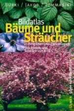 Bildatlas Bäume und Sträucher