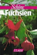 Fuchsien