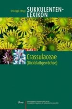 Crassulaceae (Dickblattgewächse)