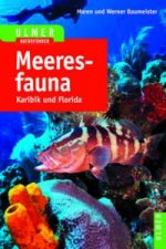 Ulmer Naturführer Meeresfauna Karibik und Florida
