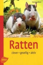Ratten