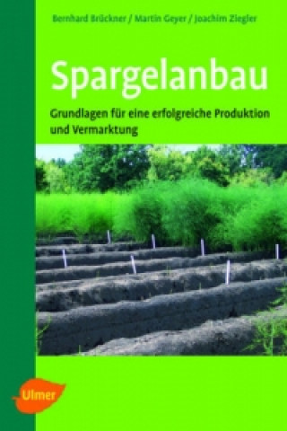 Spargelanbau