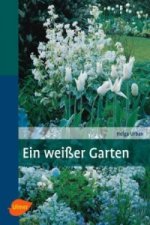 Ein weißer Garten