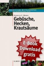 Gebüsche, Hecken, Krautsäume