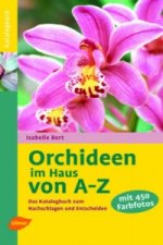 Orchideen im Haus von A-Z