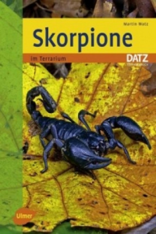 Skorpione