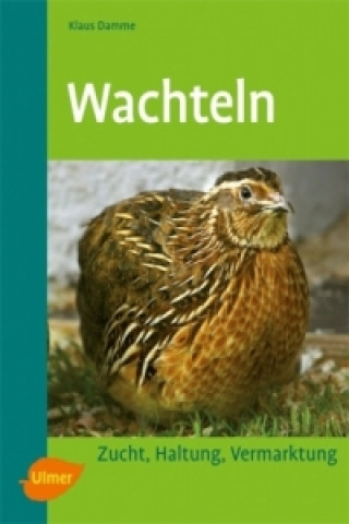 Wachteln