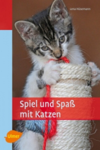 Spiel und Spaß mit Katzen