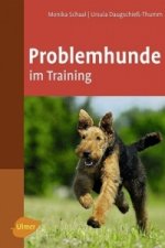 Problemhunde im Training