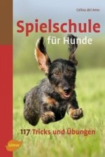 Spielschule für Hunde