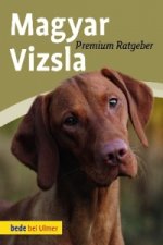 Magyar Vizsla