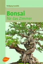 Bonsai für das Zimmer