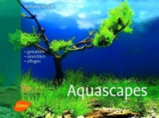 Aquascapes