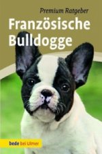 Französische Bulldogge